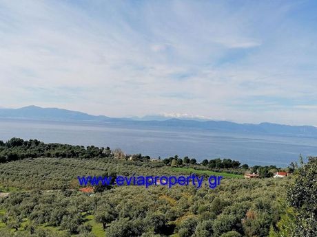 Parcel 6.000sqm for sale-Limni » Rovies