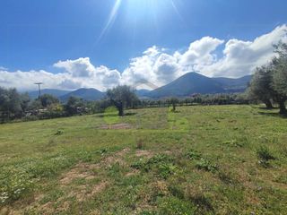 Οικόπεδο 3.000 τ.μ. για ενοικίαση, Αχαΐα, Μεσσατίδα-thumb-17