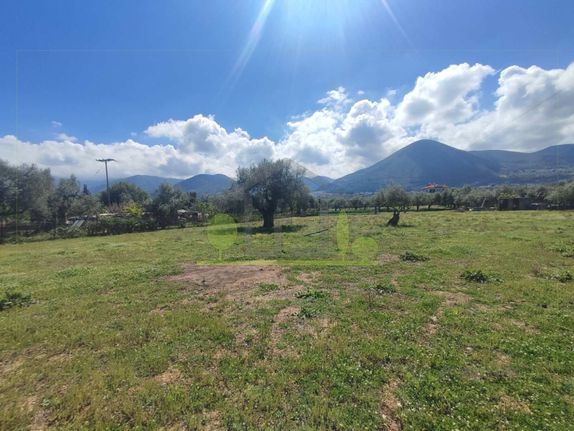 Land plot 3.000 sqm for rent, Achaia, Messatida