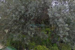 Οικόπεδο 100 τ.μ. προς πώληση, Ανθούπολη Πάτρας-thumb-1