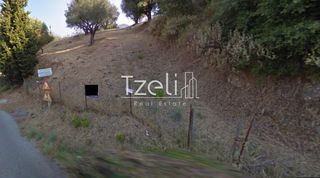 Οικόπεδο 2.078 τ.μ. για πώληση, Φωκίδα, Ευπάλιο-thumb-1