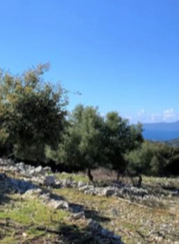 Οικόπεδο 20.000τ.μ. για πώληση-Κέα » Μελισσάκι