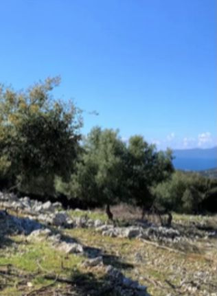 Land plot 20.000 sqm for sale, Cyclades, Kea