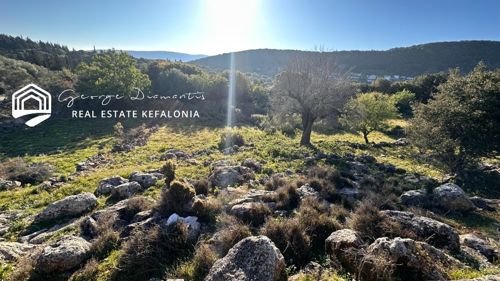 Οικόπεδο 2.930 τ.μ. πρός πώληση, Ν. Κεφαλονιάς, Κεφαλονιά