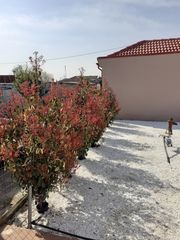 Μονοκατοικία 75 τ.μ. για πώληση, Ν. Καρδίτσας, Σοφάδες-thumb-17