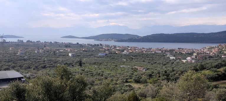 Parcel 12.000 sqm for rent, Fokida, Tolofona