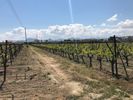 Οικόπεδο 4.422τ.μ. για πώληση-Βόχα » Ευαγγελίστρια