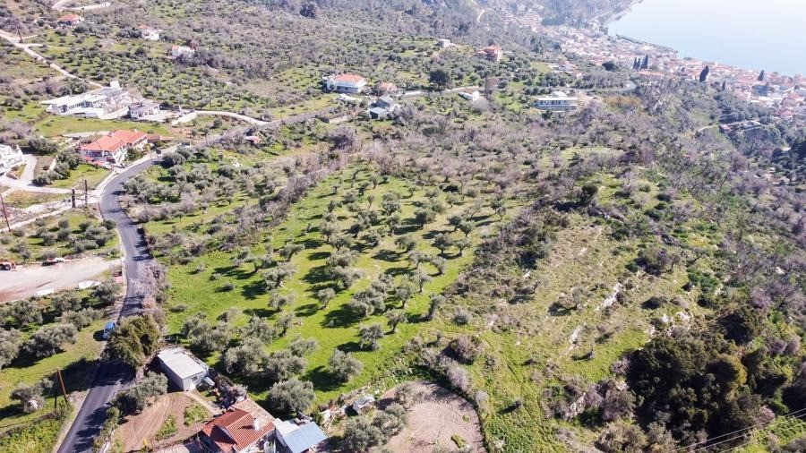 Οικόπεδο 8.474 τ.μ. προς πώληση, Κέντρο Λίμνης