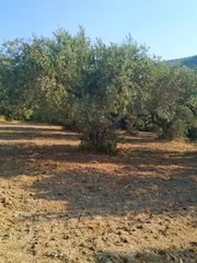 Οικόπεδο 8.474 τ.μ. για πώληση, Εύβοια, Λίμνη-thumb-9