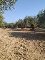 Οικόπεδο 8.474 τ.μ. για πώληση, Εύβοια, Λίμνη-thumb-10