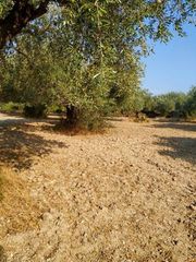 Οικόπεδο 8.474 τ.μ. για πώληση, Εύβοια, Λίμνη-thumb-11