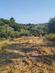 Οικόπεδο 8.474 τ.μ. για πώληση, Εύβοια, Λίμνη-thumb-13