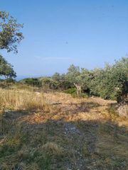 Οικόπεδο 8.474 τ.μ. για πώληση, Εύβοια, Λίμνη-thumb-14