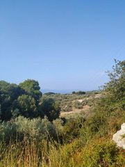 Οικόπεδο 8.474 τ.μ. για πώληση, Εύβοια, Λίμνη-thumb-17