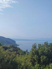 Οικόπεδο 8.474 τ.μ. για πώληση, Εύβοια, Λίμνη-thumb-18