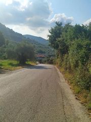 Οικόπεδο 8.474 τ.μ. για πώληση, Εύβοια, Λίμνη-thumb-19