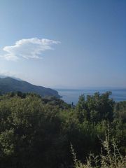 Οικόπεδο 8.474 τ.μ. για πώληση, Εύβοια, Λίμνη-thumb-20