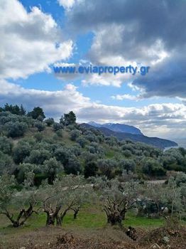 Parcel 1.378sqm for sale-Limni » Mirtias