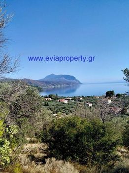 Parcel 7.430sqm for sale-Limni » Sipiada