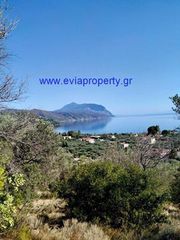 Αγροτεμάχια 7.430 τ.μ. για πώληση