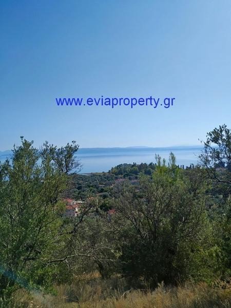 Αγροτεμάχια 7.430 τ.μ. προς πώληση, Σηπιάδα Λίμνης