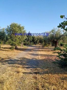 Parcel 4.011sqm for sale-Limni » Rovies