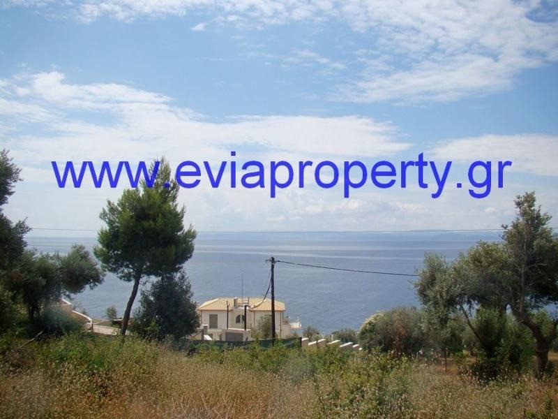 Αγροτεμάχια 9.650 τ.μ. προς πώληση, Ροβιές