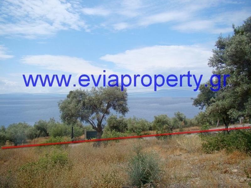 Αγροτεμάχια 9.650 τ.μ. προς πώληση, Ροβιές