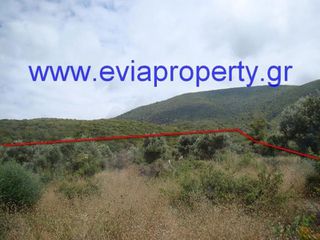 Αγροτεμάχια 9.650 τ.μ. προς πώληση, Ροβιές-thumb-3