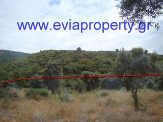 Αγροτεμάχια 9.650 τ.μ. προς πώληση, Ροβιές-thumb-4