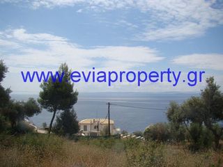 Αγροτεμάχια 9.650 τ.μ. προς πώληση, Ροβιές-thumb-5