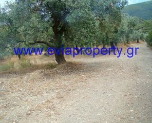Αγροτεμάχια 9.650 τ.μ. προς πώληση, Ροβιές-thumb-6