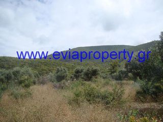 Αγροτεμάχια 9.650 τ.μ. προς πώληση, Ροβιές-thumb-7