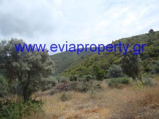 Αγροτεμάχια 9.650 τ.μ. προς πώληση, Ροβιές-thumb-8