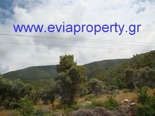 Αγροτεμάχια 9.650 τ.μ. προς πώληση, Ροβιές-thumb-9
