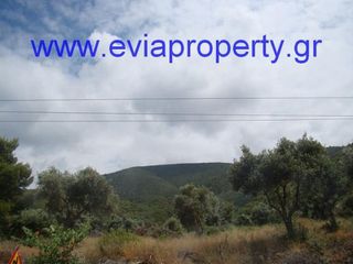 Αγροτεμάχια 9.650 τ.μ. προς πώληση, Ροβιές-thumb-10