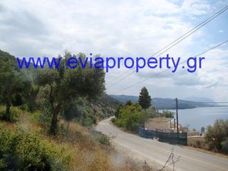 Αγροτεμάχια 9.650 τ.μ. προς πώληση, Ροβιές-thumb-11