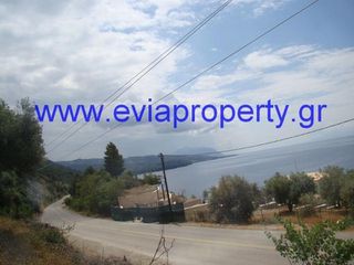 Αγροτεμάχια 9.650 τ.μ. προς πώληση, Ροβιές-thumb-12