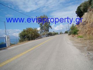 Αγροτεμάχια 9.650 τ.μ. προς πώληση, Ροβιές-thumb-13