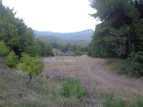 Parcel 4.500sqm for sale-Limni » Kalamoudi