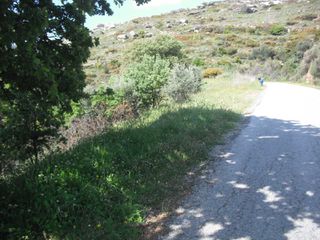 Οικόπεδο 1.062 τ.μ. για πώληση