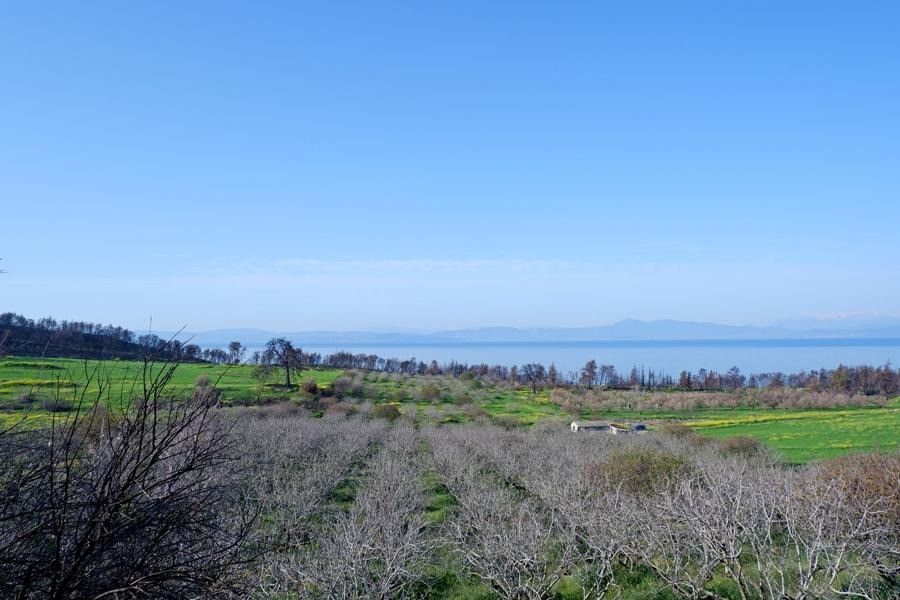 Γη 30.000 τ.μ. προς πώληση, Ροβιές