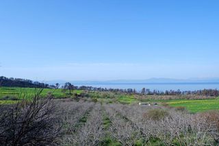 Γη 30.000 τ.μ. προς πώληση, Ροβιές-thumb-2
