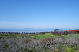 Γη 30.000 τ.μ. προς πώληση, Ροβιές-thumb-16