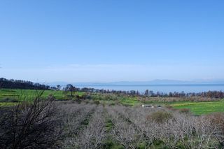 Γη 30.000 τ.μ. προς πώληση, Ροβιές-thumb-17