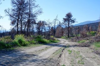 Γη 30.000 τ.μ. προς πώληση, Ροβιές-thumb-18