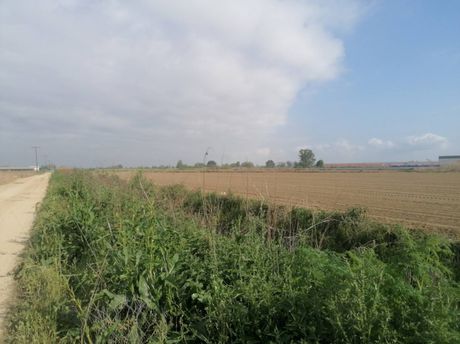 Parcel 15.370sqm for sale-Echedoros » Sindos