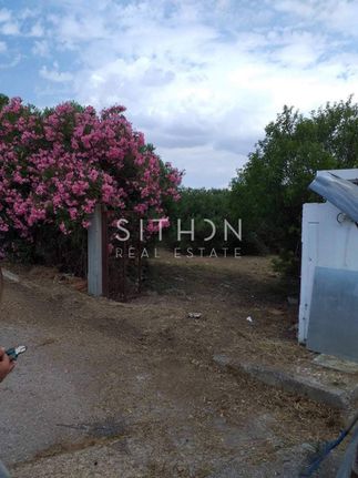 Land plot 443 sqm for sale, Chalkidiki, Kallikrateia