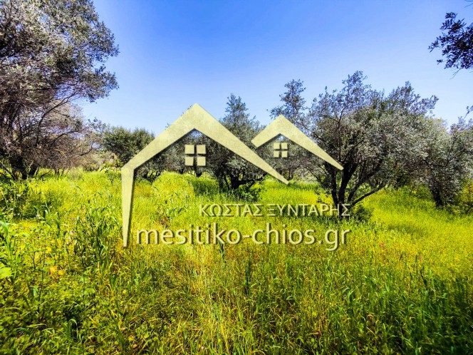 Οικόπεδο 1.570 τ.μ. πρός πώληση, Ν. Χίου, Χίος