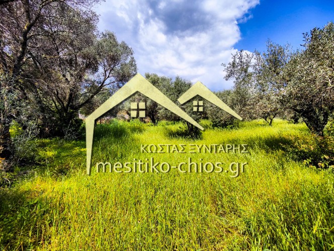 Οικόπεδο 1.570 τ.μ. πρός πώληση, Ν. Χίου, Χίος